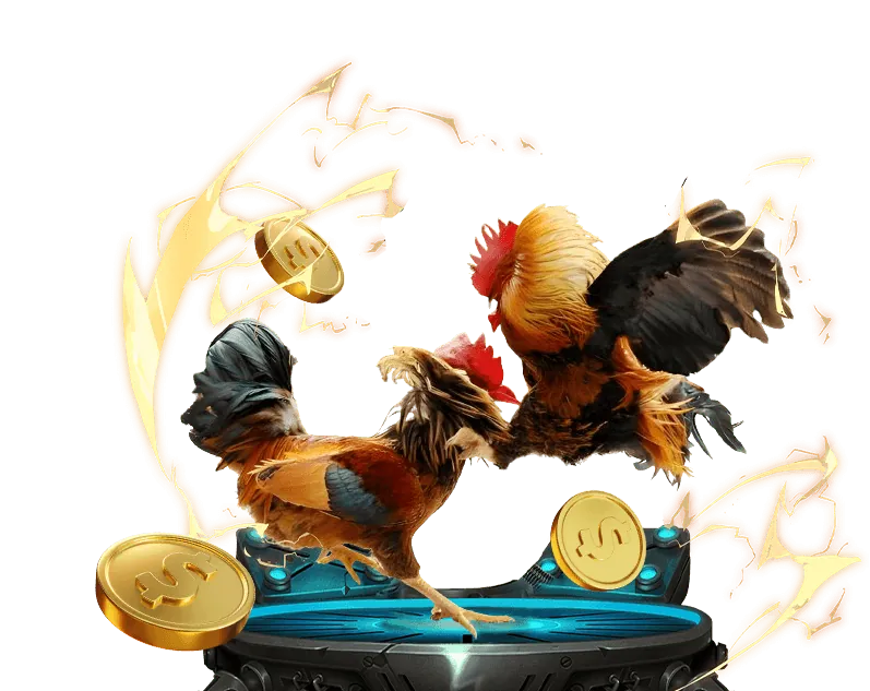 Đá gà và trò chơi nổ hũ kết hợp